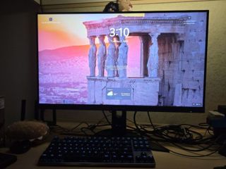 (Category: ) located in . Submitted by hatmap (Listing ID 1430662765, Image 1). Description: .