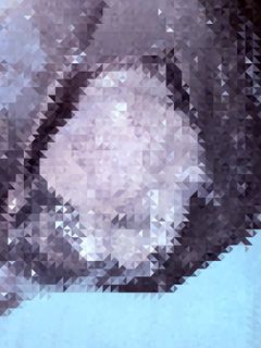 (Category: ) located in . Submitted by annie383 (Listing ID 1430766627, Image 1). Description: .