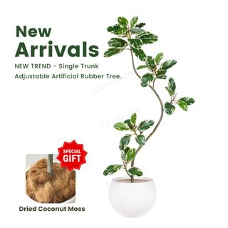 (Category: ) located in . Submitted by evergreen_gardening (Listing ID 1430640950, Image 1). Description: .