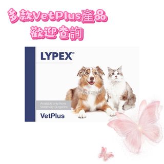 （分類：）位於 。 由 freshapets 提交（商品編號 1430646520，圖片 1）。簡介： 。