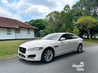 Luxury Sedans 收藏品 2