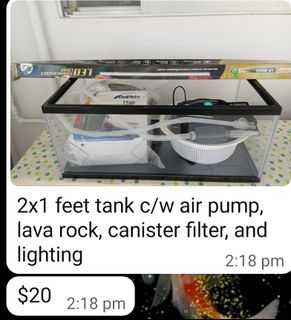 (Category: ) located in . Submitted by ginaygl (Listing ID 1430854355, Image 1). Description: .