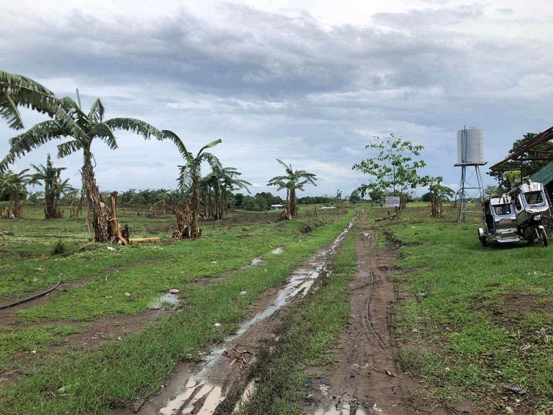 4 Hectare Lot in Tanza, Cavite (Category: Lot) located in Santa Rosa. Submitted by Michikay01 (Listing ID 1430862099, Image 3). Description: 🚛 FOR SALE or FOR LEASE — Open Lot in TANZA, CAVITE 🏗️ Looking for a spacious open area perfect for warehouse operations, trucking, logistics, or storage? This 4-hectare property offers excellent accessibility and flexibility — ideal for industrial or commercial use. 📍 Location: Tanza, Cavite (Along Baran