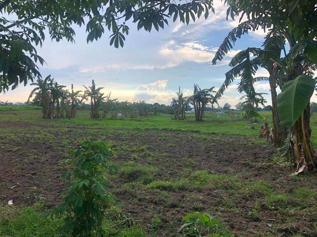 4 Hectare Lot in Tanza, Cavite (Category: Lot) located in Santa Rosa. Submitted by Michikay01 (Listing ID 1430862099, Image 2). Description: 🚛 FOR SALE or FOR LEASE — Open Lot in TANZA, CAVITE 🏗️ Looking for a spacious open area perfect for warehouse operations, trucking, logistics, or storage? This 4-hectare property offers excellent accessibility and flexibility — ideal for industrial or commercial use. 📍 Location: Tanza, Cavite (Along Baran