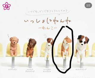 （分類：）位於 。 由 lolo1010 提交（商品編號 1430959415，圖片 1）。簡介： 。
