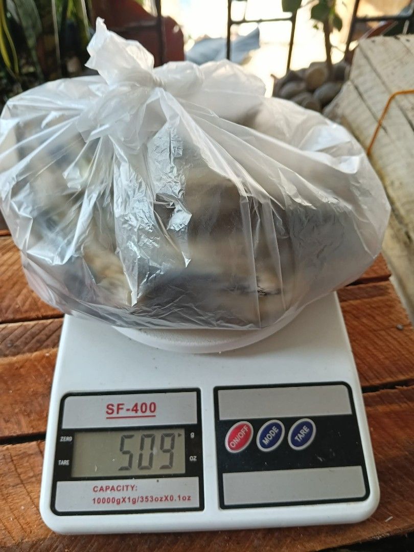 Dried Fish "Tuyo" (Category: Other Food & Drinks) located in Silang. Submitted by a.r.a_15 (Listing ID 1430905483, Image 2). Description: TUYO FOR SALE! 🐟🔥 ✔️ Retail: ₱250 per kilo ✔️ ₱135 per half kilo ✔️ Fresh from delivery ✔️ Estimated 200 pcs per kilo ✔️ Maganda ang pagkakatuyo — sulit at quality! 👌 Perfect pang ulam, pang negosyo, or pang stock sa bahay! 😋 📩 Available for WHOLESALE — may less pa 10kilos up! PM lang po sa interested!.