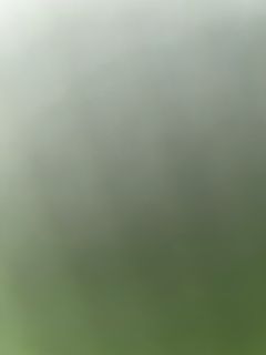 (Category: ) located in . Submitted by abangkourier (Listing ID 1430942172, Image 1). Description: .