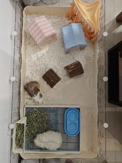 (Category: ) located in . Submitted by a.star1515 (Listing ID 1430975441, Image 1). Description: .