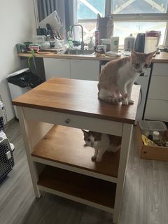 （分類：）位於 。 由 woonchan6125 提交（商品編號 1430844361，圖片 1）。簡介： 。