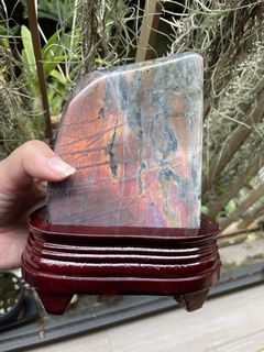(Category: ) located in . Submitted by crystal_gem_world (Listing ID 1430838210, Image 1). Description: .