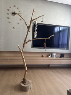 (Category: ) located in . Submitted by kim.teo.70 (Listing ID 1430830349, Image 1). Description: .