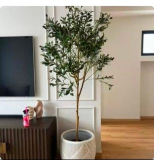 (Category: ) located in . Submitted by joggerislandfurniture (Listing ID 1430864731, Image 1). Description: .