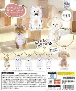 （分類：）位於 。 由 kamhing1003 提交（商品編號 1430974373，圖片 1）。簡介： 。