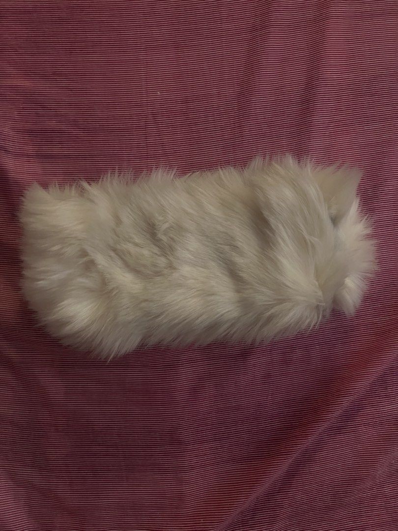 White Faux Fur Headband (Category: Hair Accessories) located in Manila. Submitted by chocoboruur (Listing ID 1430924760, Image 1). Description: .