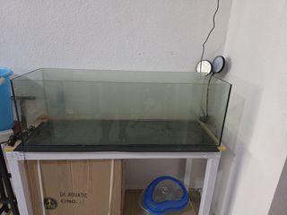 (Category: ) located in . Submitted by azsham (Listing ID 1431114679, Image 1). Description: .