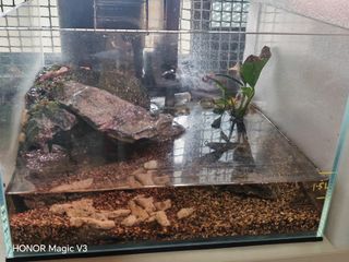 (Category: ) located in . Submitted by danwhat (Listing ID 1431110973, Image 1). Description: .