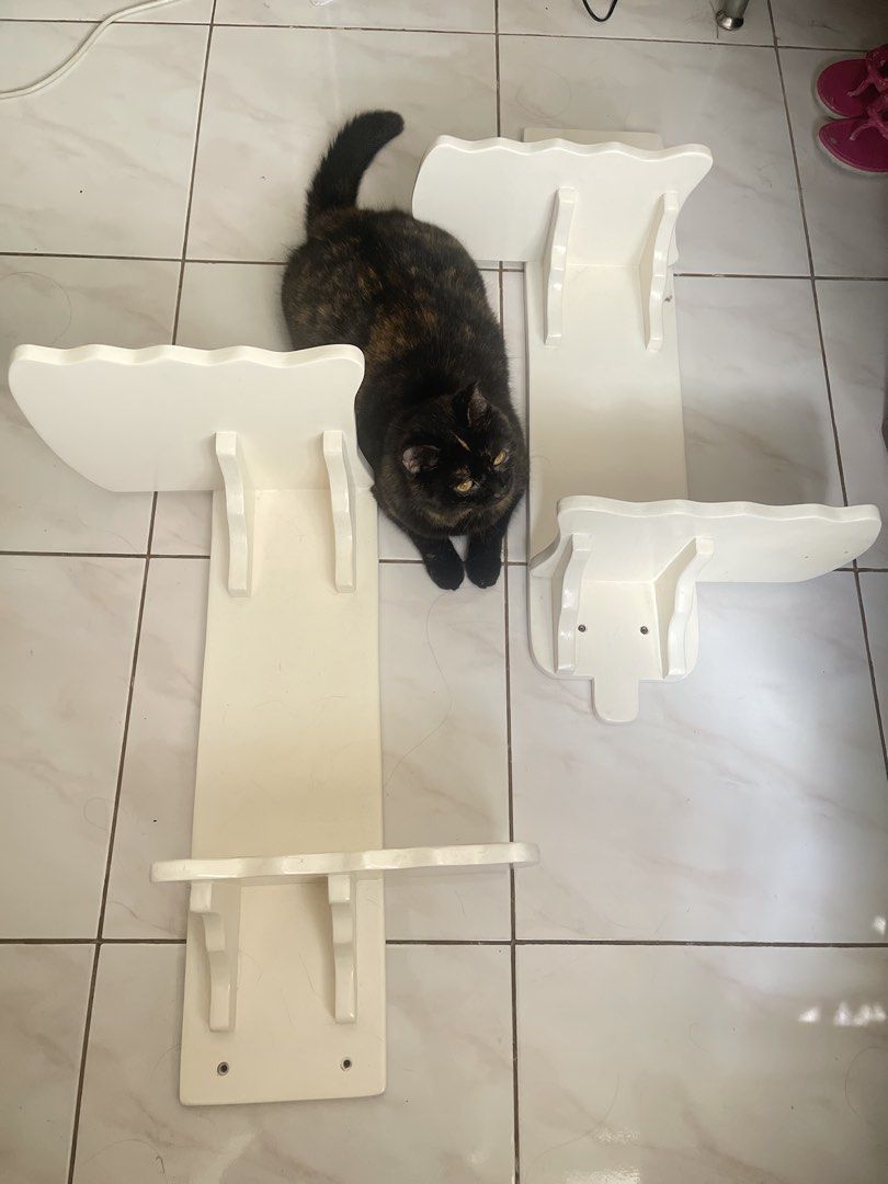 Cat Wall Shelves (Category: Shelves, Cabinets & Racks) located in Quezon City. Submitted by teachl (Listing ID 1430989032, Image 1). Description: Used hanging cat tower.