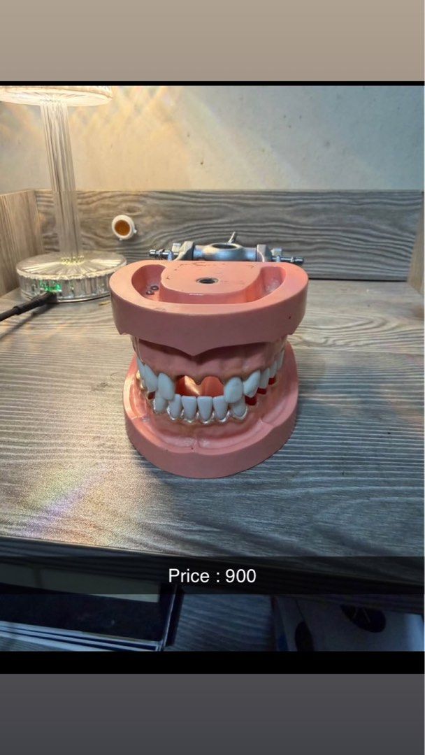 Dental Teeth Model (Category: Medical Supplies & Tools) located in Manila. Submitted by hausali90 (Listing ID 1431048818, Image 2). Description: .