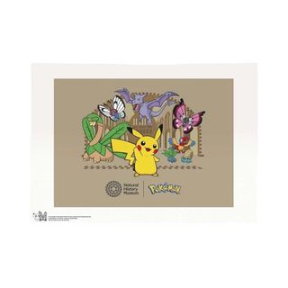 （分類：）位於 。 由 syw0926 提交（商品編號 1431155751，圖片 1）。簡介： 。