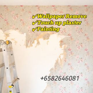 Wallpaper Remove, Plaster & Painting  Collection item 1