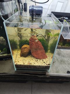 (Category: ) located in . Submitted by happy_sail (Listing ID 1430991400, Image 1). Description: .