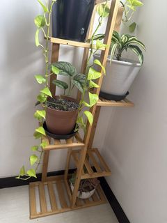 (Category: ) located in . Submitted by samaira (Listing ID 1431037681, Image 1). Description: .