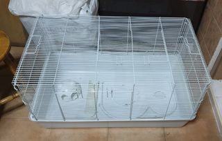 (Category: ) located in . Submitted by blue_ribbons (Listing ID 1435436378, Image 1). Description: .