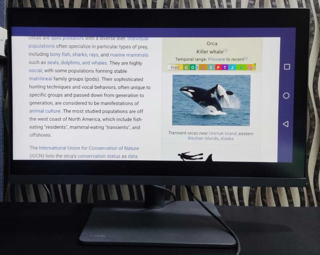 BenQ Designer 27-inch 4K Monitor PD2705U
