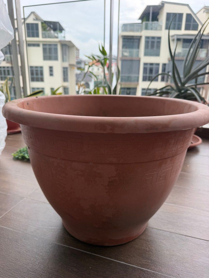 Big Plant pot