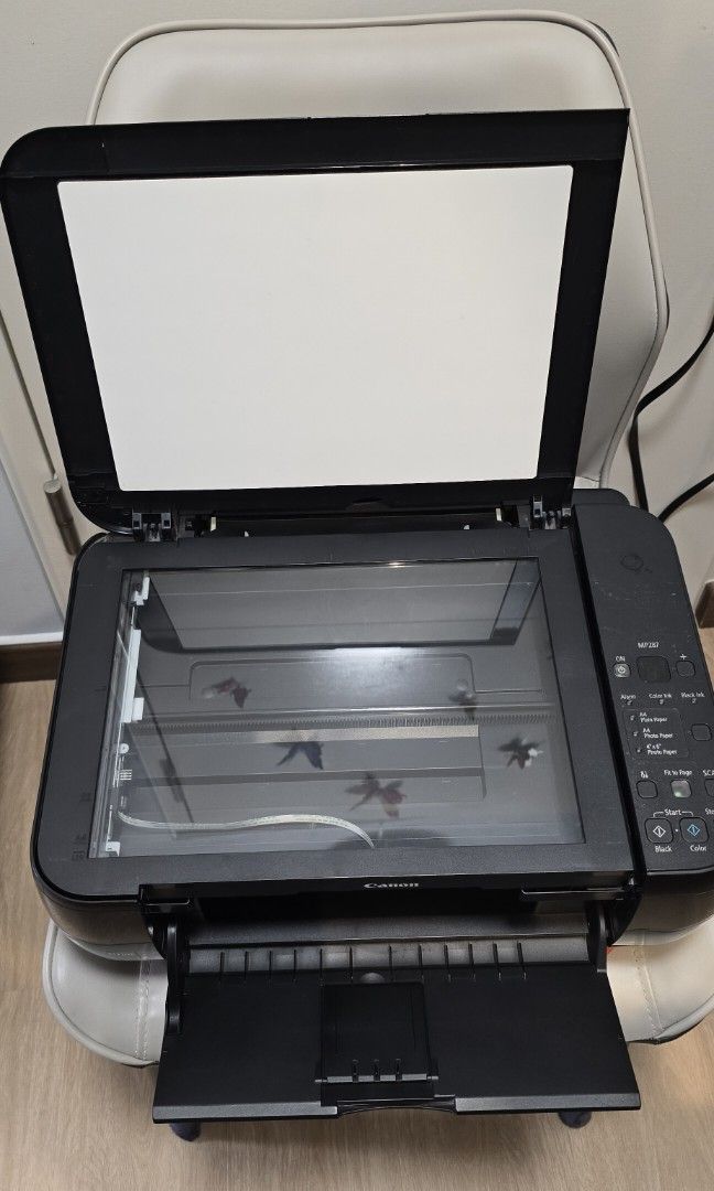 Canon Printer442132771783331843