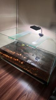 (Category: ) located in . Submitted by mrzstore1 (Listing ID 1435392695, Image 1). Description: .