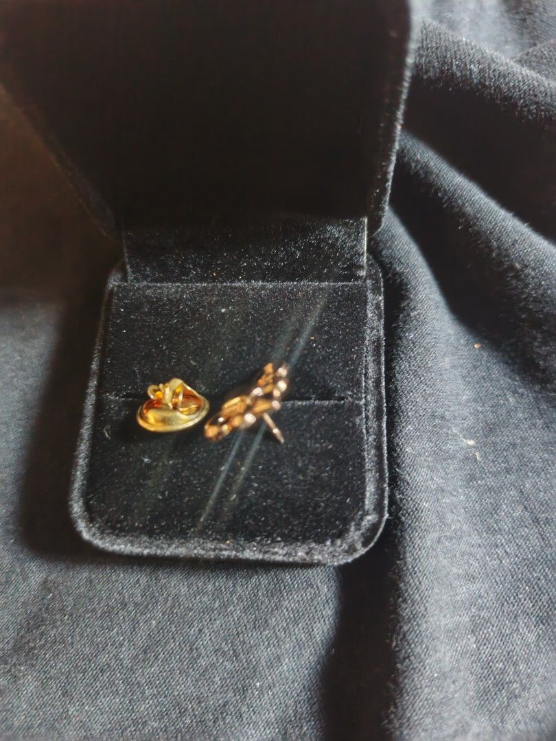 Gold-tone Fleur de Lis suit pin (Category: Brooches) located in Manila. Submitted by esteemed_shop (Listing ID 1435426794, Image 3). Description: - Scout Fleur-de-lis Pin - Includes Black Velvet Box plus ₱200 - Gold-colored metal - Detailed design - Small accessory.