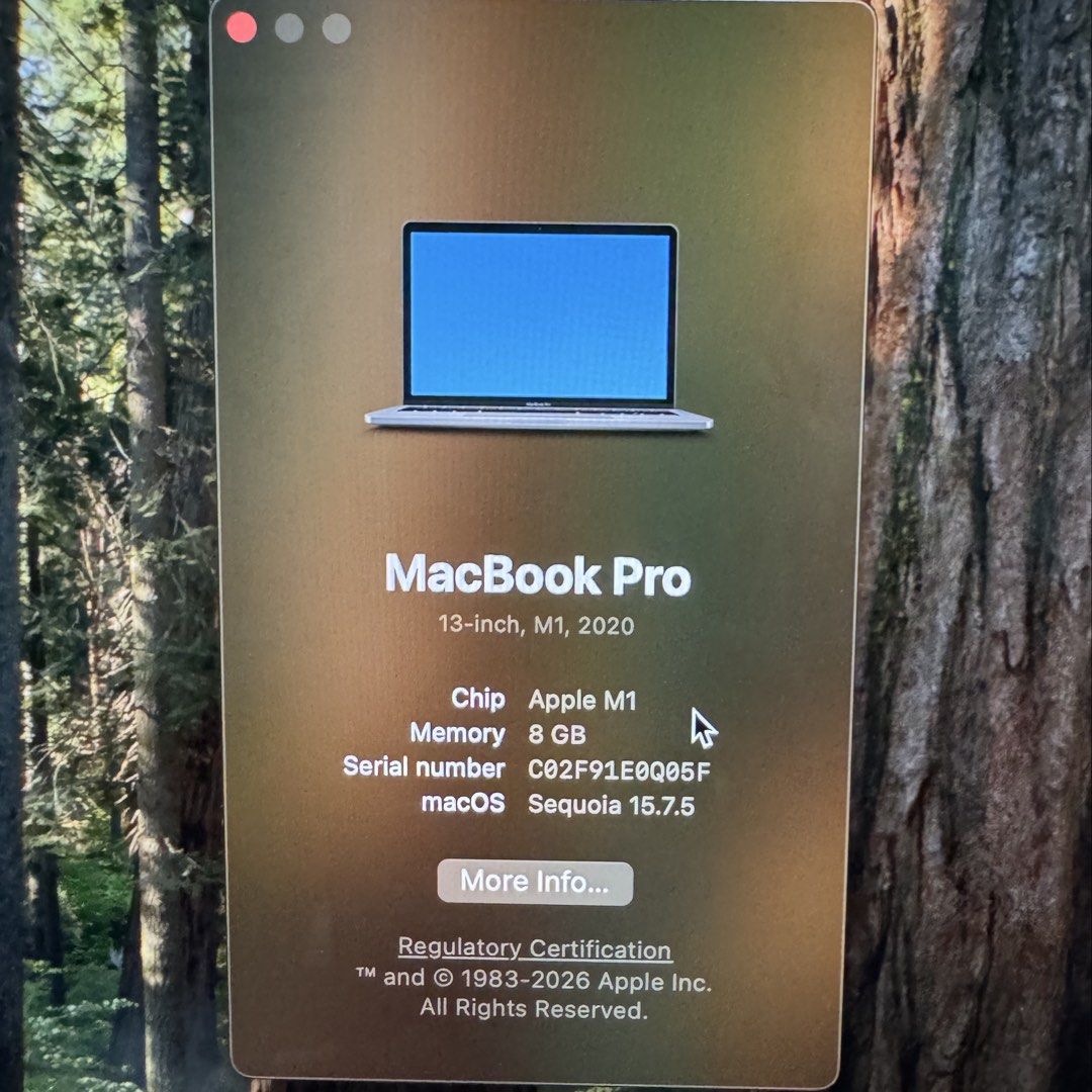 MacBook Pro 13inch 2020,M1442224871316531202