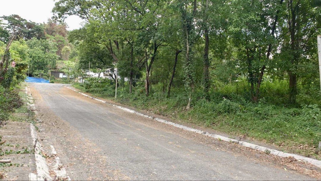 Parkridge Antipolo (Category: Lot) located in Manila. Submitted by milagrosa78 (Listing ID 1435516294, Image 3). Description: 461 sqm flat lot Parkridge Antipolo Phase 2 Palmetto St Tax and dues up to date P30,000 per sqm Direct buyer only.
