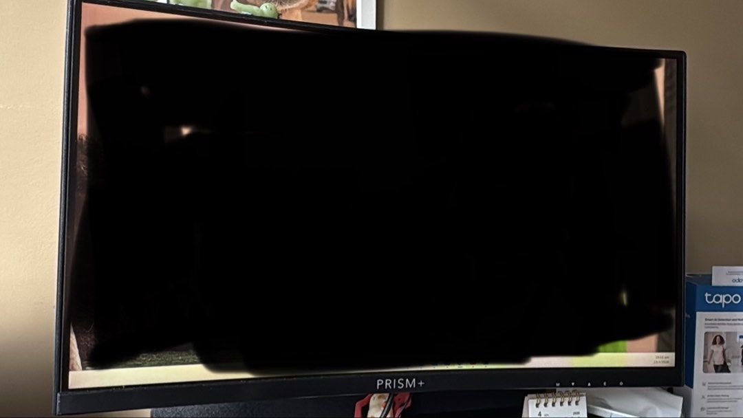 Prism+ X240B 24" Curved Monitor
