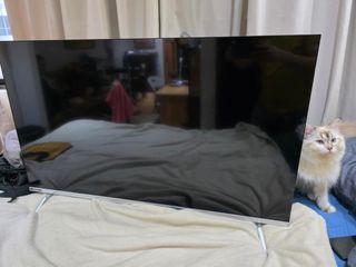 (Category: ) located in . Submitted by aresxt (Listing ID 1435432496, Image 1). Description: .