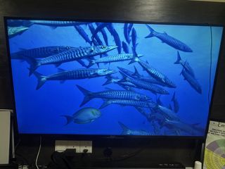 (Category: ) located in . Submitted by romme_10 (Listing ID 1435483877, Image 1). Description: .