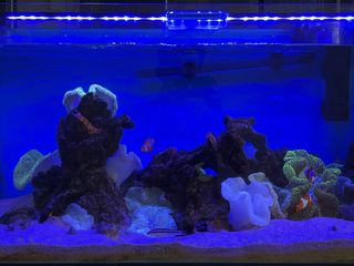 (Category: ) located in . Submitted by 076979 (Listing ID 1416519014, Image 1). Description: .