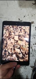 Apple iPad mini2457475148292433920