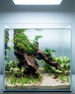 (Category: ) located in . Submitted by built_to_nature (Listing ID 1437105504, Image 1). Description: .