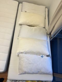 (Category: ) located in . Submitted by ecowarrier (Listing ID 1437043083, Image 1). Description: .
