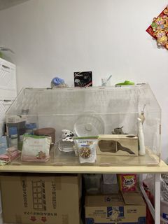 (Category: ) located in . Submitted by greatchers (Listing ID 1437139821, Image 1). Description: .
