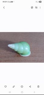 (Category: ) located in . Submitted by worldofcollectibles (Listing ID 1437131812, Image 1). Description: .