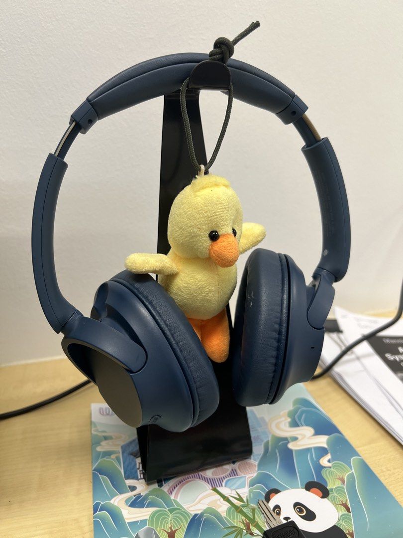 Sony Blue Wireless Headphones