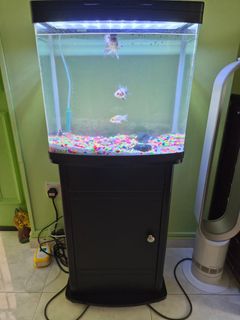 (Category: ) located in . Submitted by linkup (Listing ID 1437255996, Image 1). Description: .