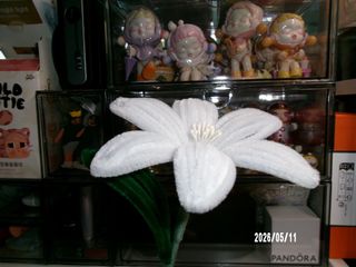 (Category: ) located in . Submitted by crlt.pdf (Listing ID 1437311076, Image 1). Description: .