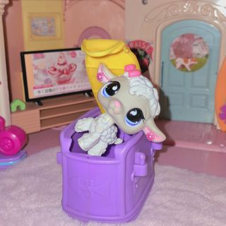 (Category: ) located in . Submitted by ssaeyaa (Listing ID 1437336096, Image 1). Description: .