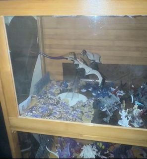 (Category: ) located in . Submitted by calebsohj (Listing ID 1437324665, Image 1). Description: .