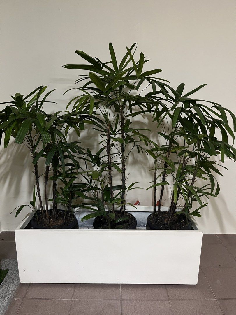 White Rectangular Fibreglass Planter451147945225768961