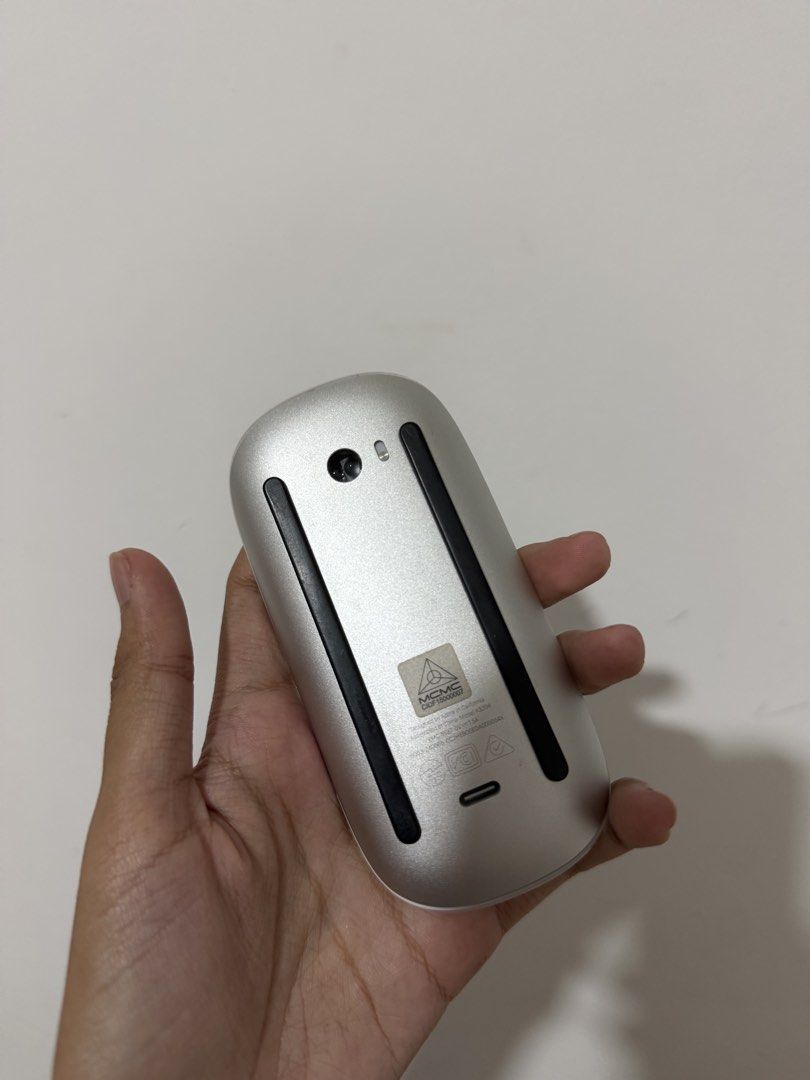 Apple Pencil USB-C & Magic Mouse 2452375608736491523